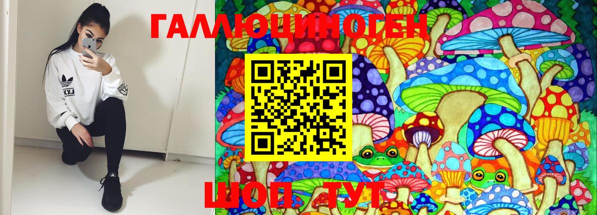 Галлюциногенные грибы MAGIC MUSHROOMS  Псилоцибиновые грибы ЛСД  Вход с VPN  Ревда 